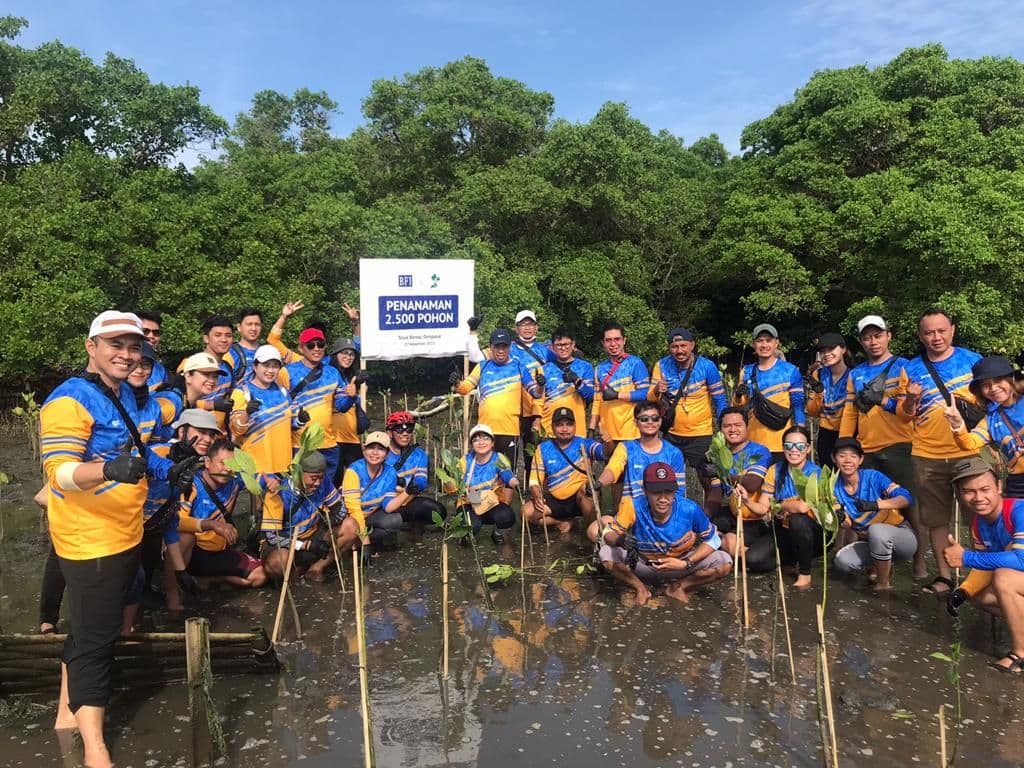 BFI Finance Plants Thousands of Mangrove Trees for Social, Economic, and Environmental