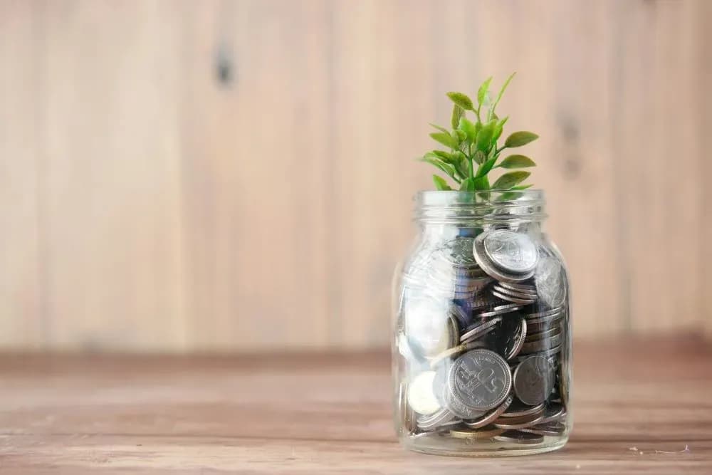 What is Debtor? Definition, Categories, and Its Rights and Obligations