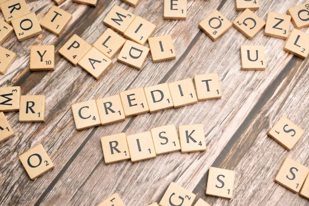 Is Applying for a Loan or Credit Risky?
