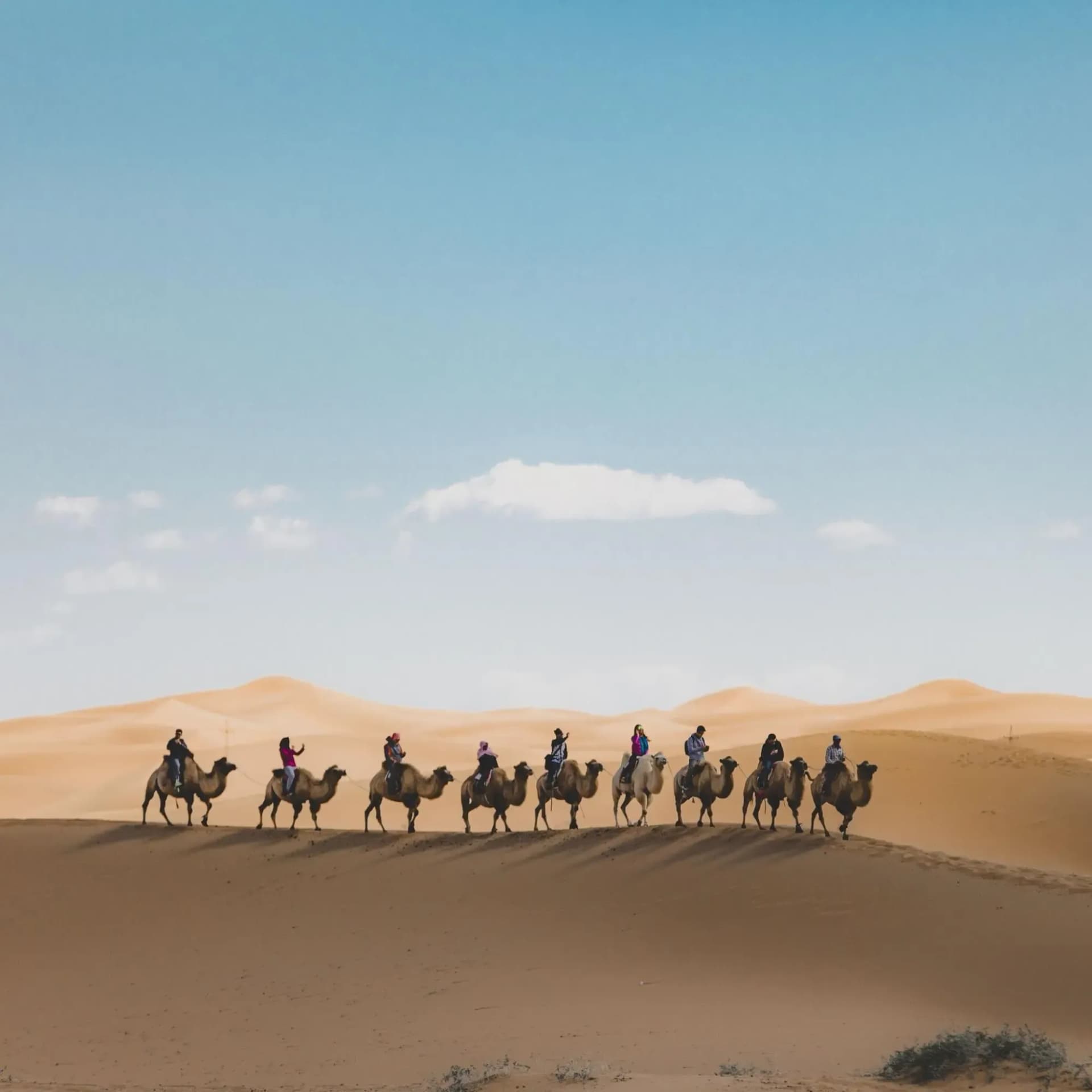 History of Eid al-Adha; Wisdom and Meaning of Sacrifice