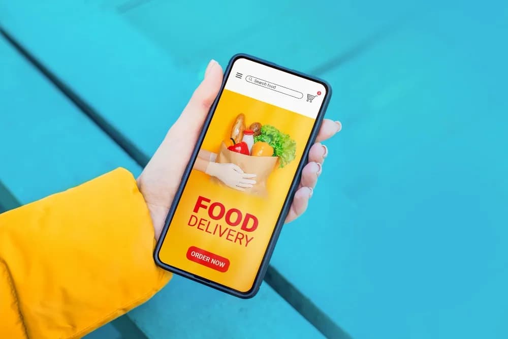 Here’s Why Online Food Delivery Is So Popular, Let’s Find Out!